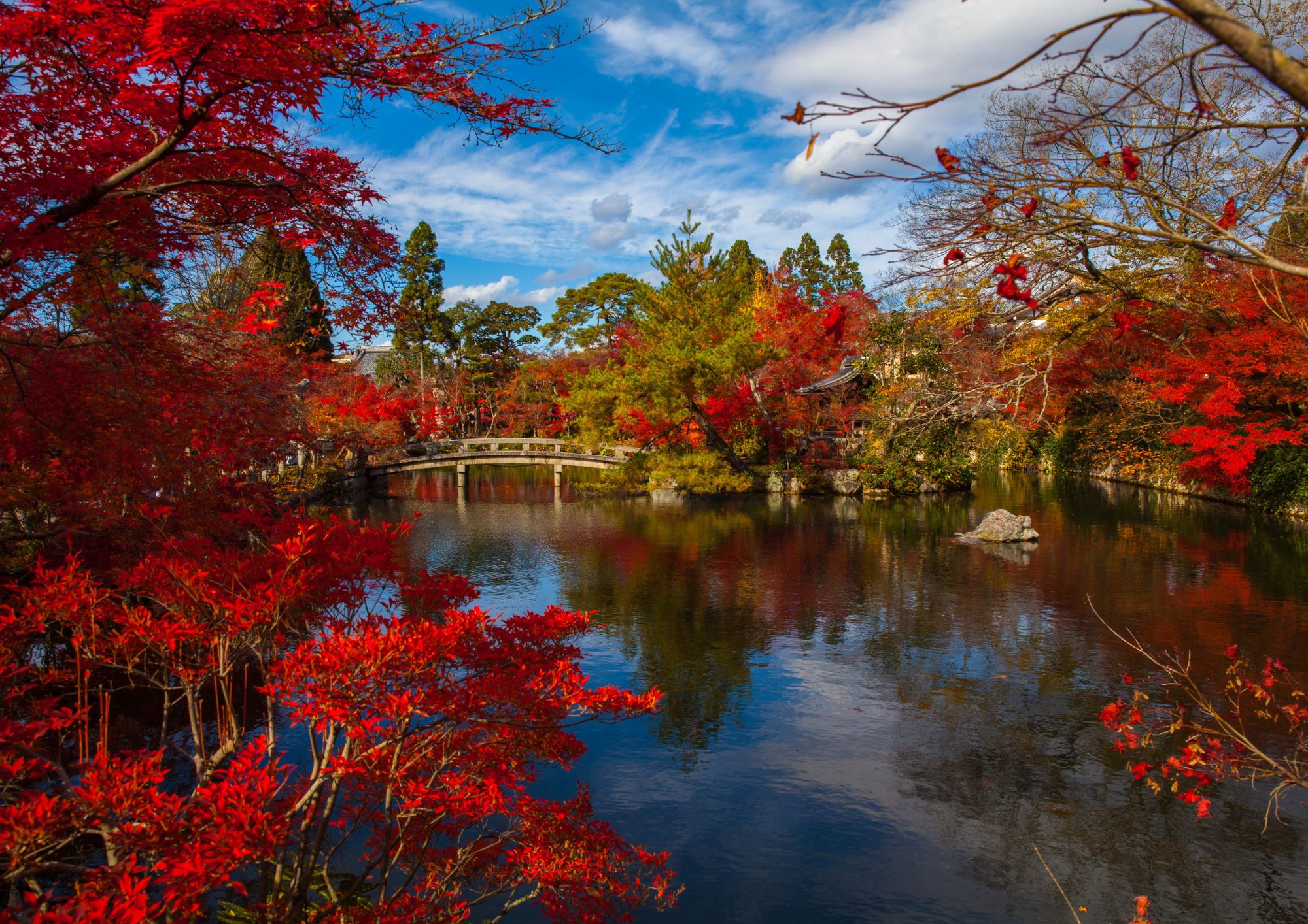 スライドショー